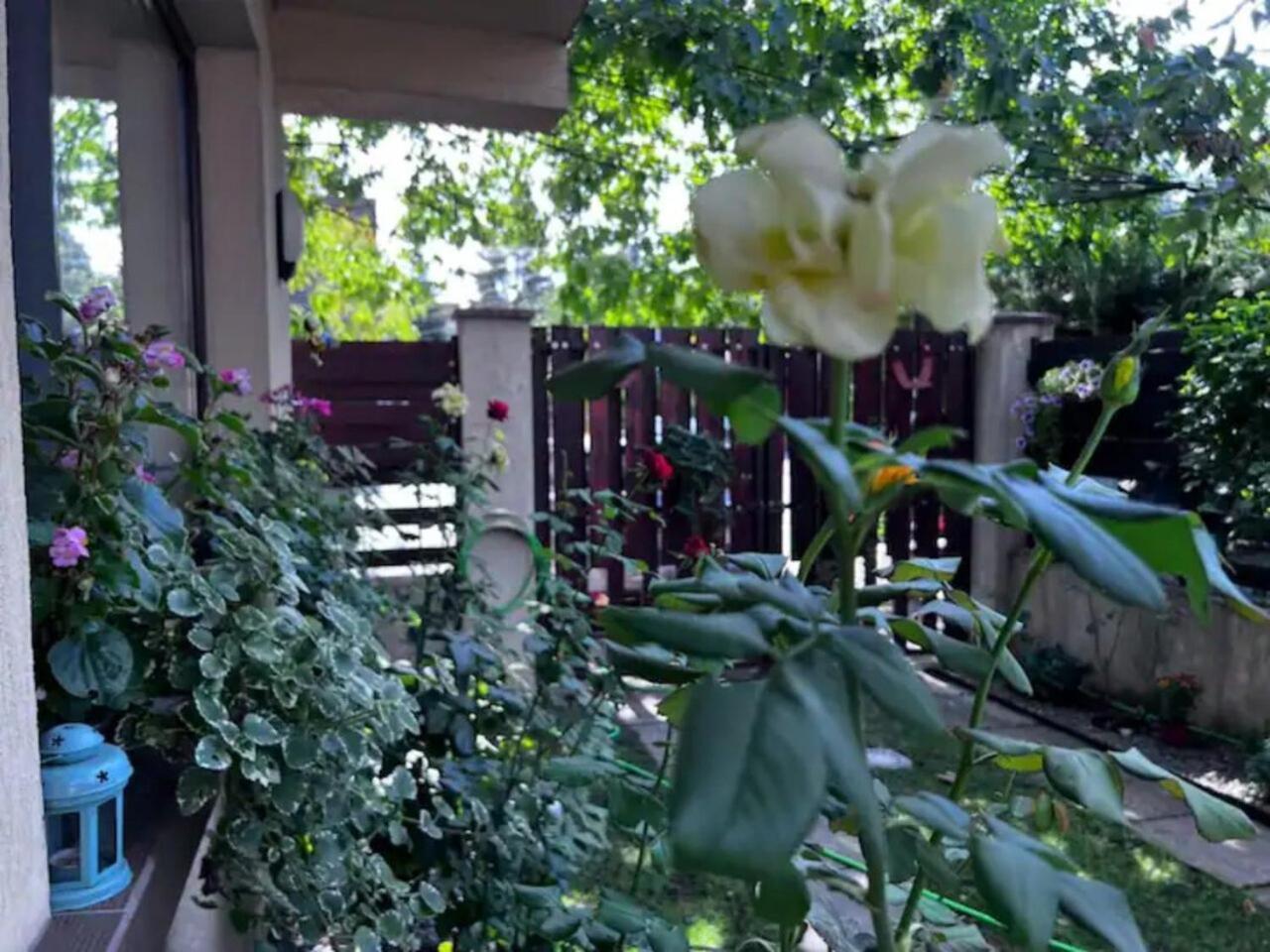 Vila Luminoasa Cu Curte Privata Boekarest Buitenkant foto